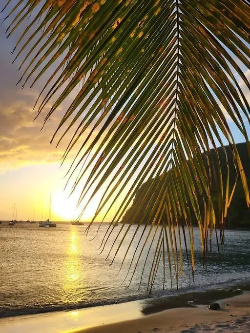 Catamaran Tout Confort Sur La Baie De Deshaies Hotel Botel